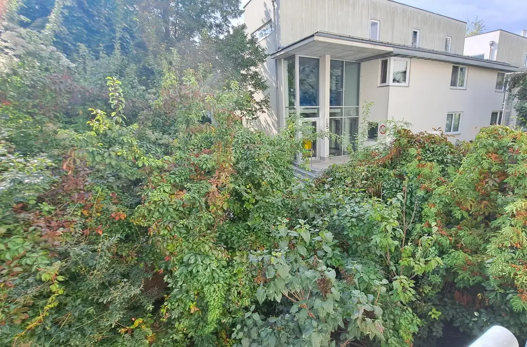 Gemütliche 2 Zimmer in Grünruhelage am Leberberg im 11. Bezirk