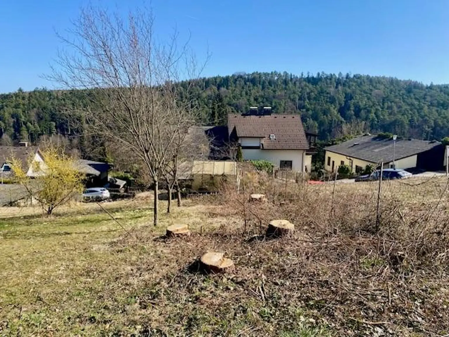 Ausblick auf gegenüberliegenden Wald