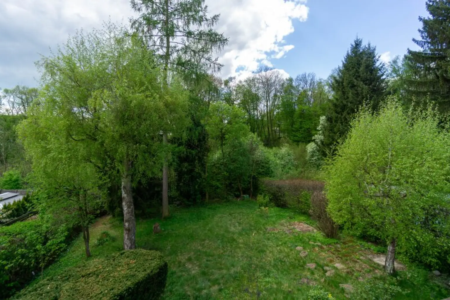 Grünblick vom Balkon