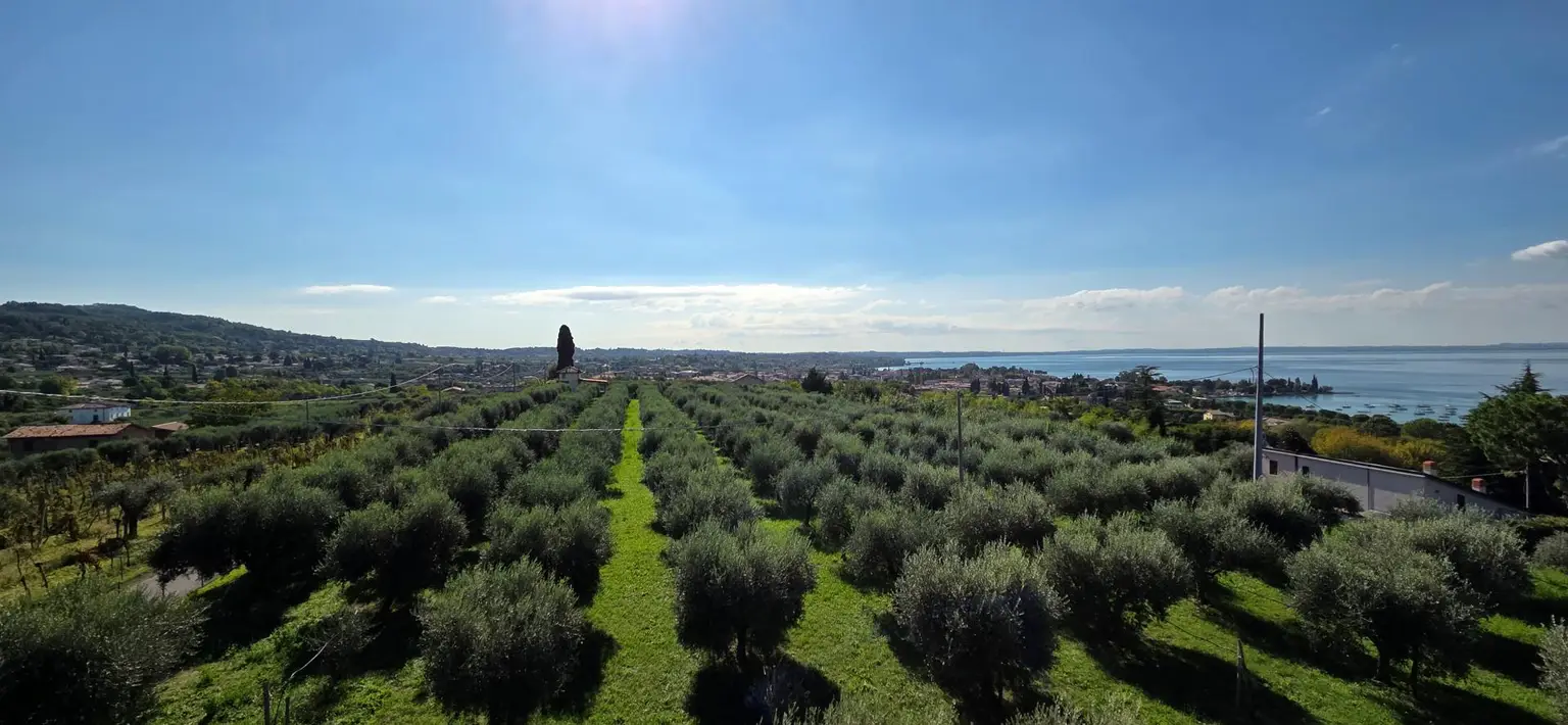 Wohnung - Aussicht (4)