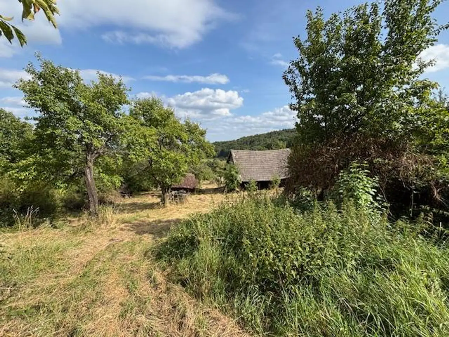 Wildromantisches altes Bauernhaus mit toller Fernsicht!