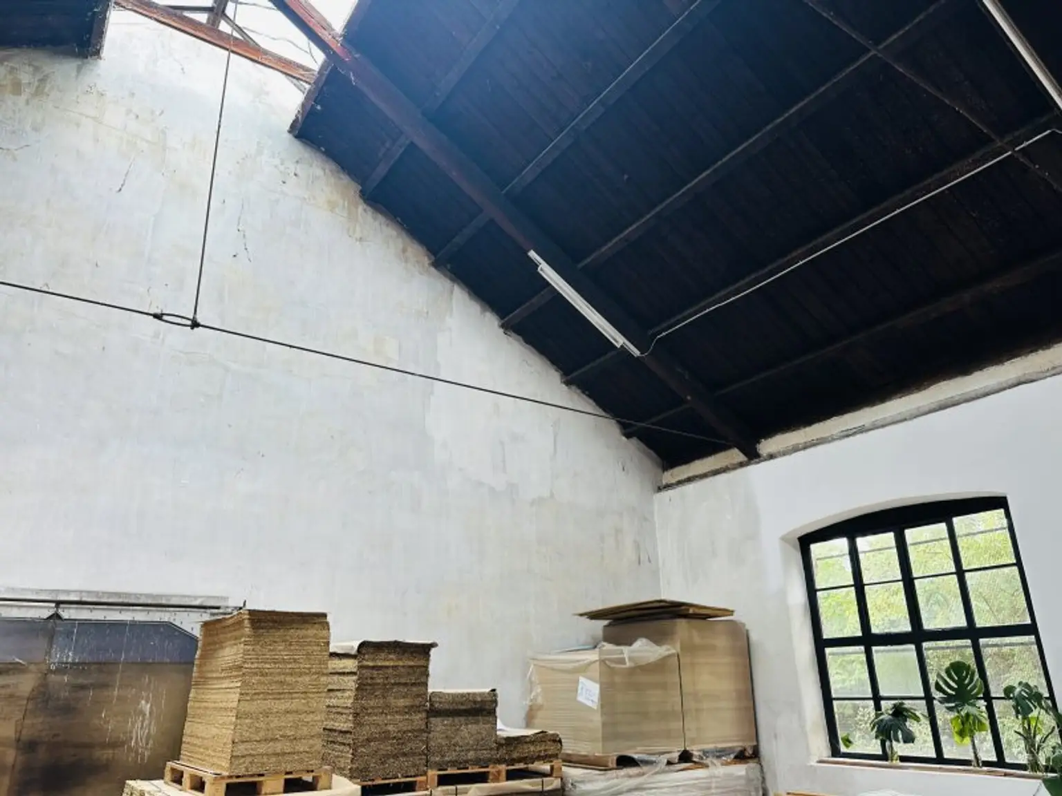 Wunderschöne Lagerhallen mit Büro, Parkplätzen, gute Erreichbarkeit, gute Zufahrt