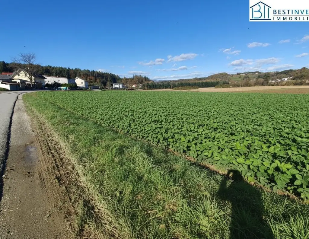 Ackerland sehr gut erschlossen.