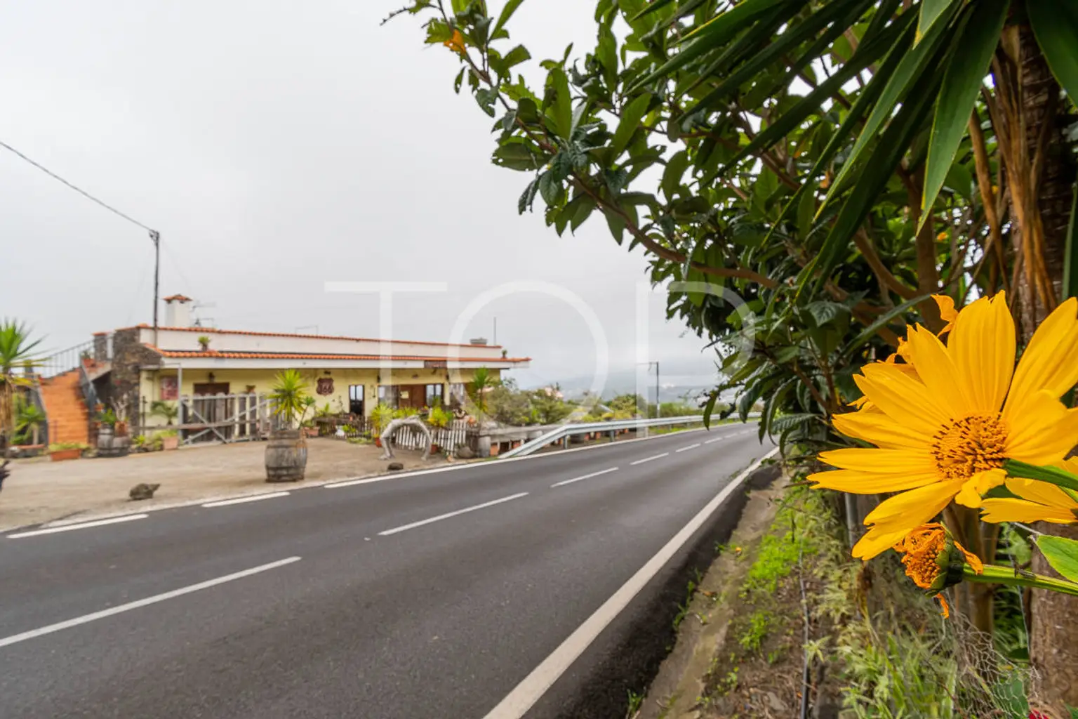 Haus-Icod-de-Los-Vinos-xxx-Teneriffa-40