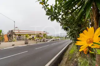 Haus-Icod-de-Los-Vinos-xxx-Teneriffa-40