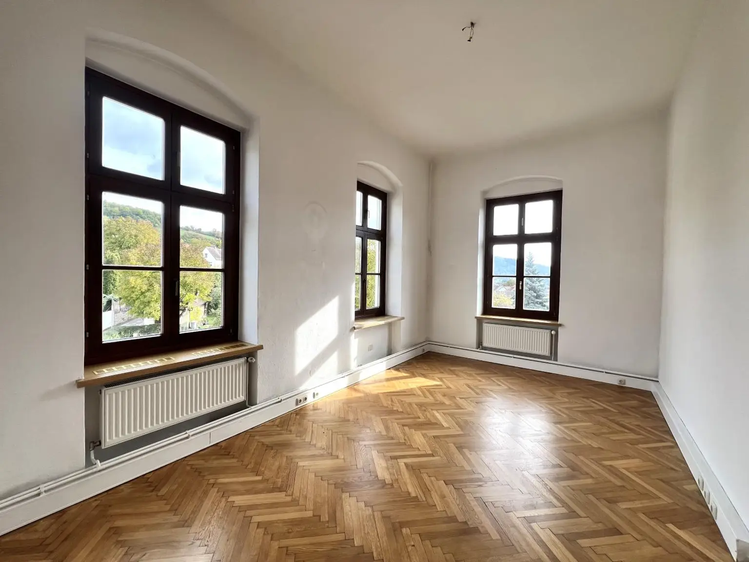 Stilvolle Altbauwohnung im Herzen von Pöggstall