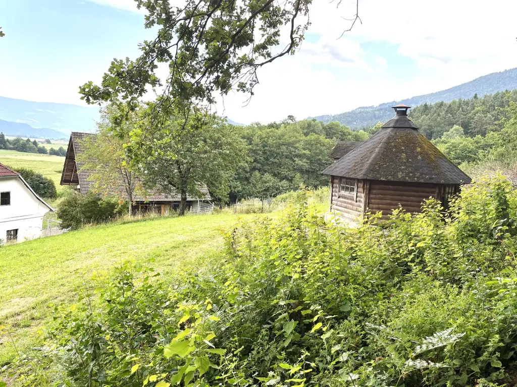 KLEINLANDWIRTSCHAFTLICHES JUWEL! CA.10 HEKTAR WALD! WIESEN! BETRIEBSFLÄCHEN!