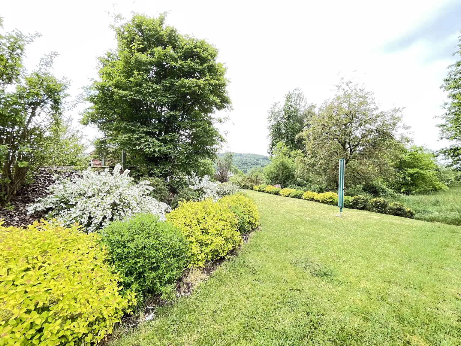 Gartenimpressionen