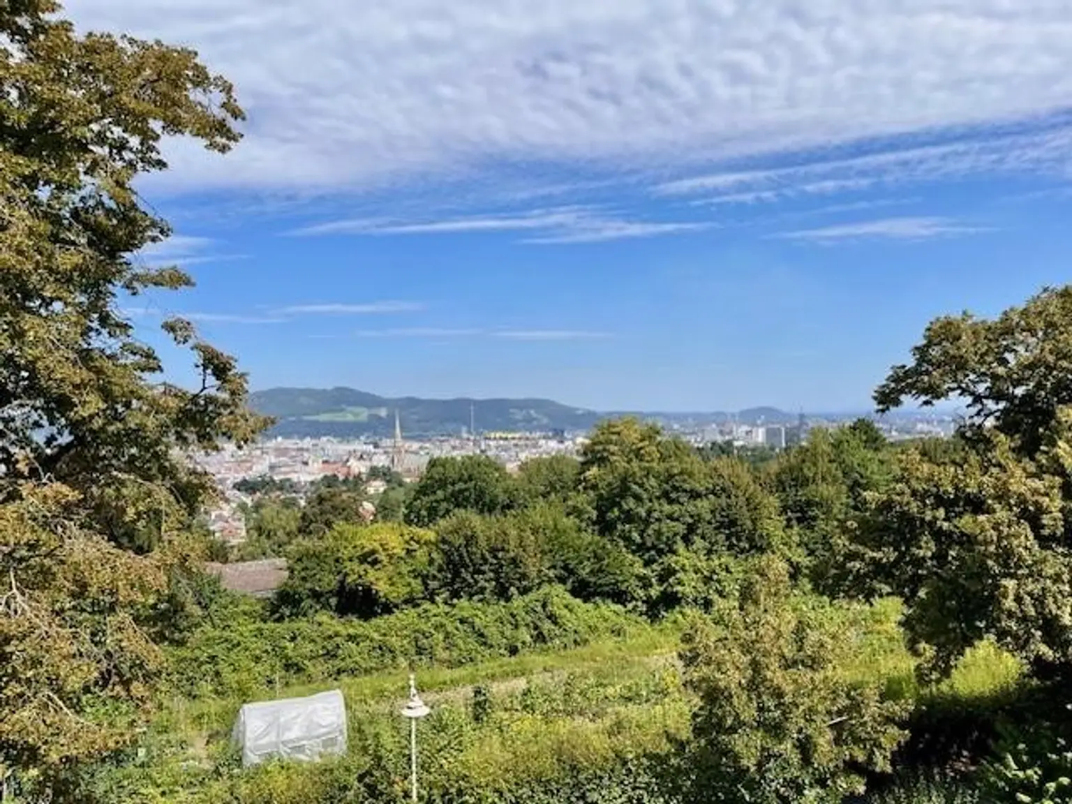 Luxuswohnung in Bestlage zu vermieten - 3-Zimmer-Wohnung mit großer Terrasse & Garten