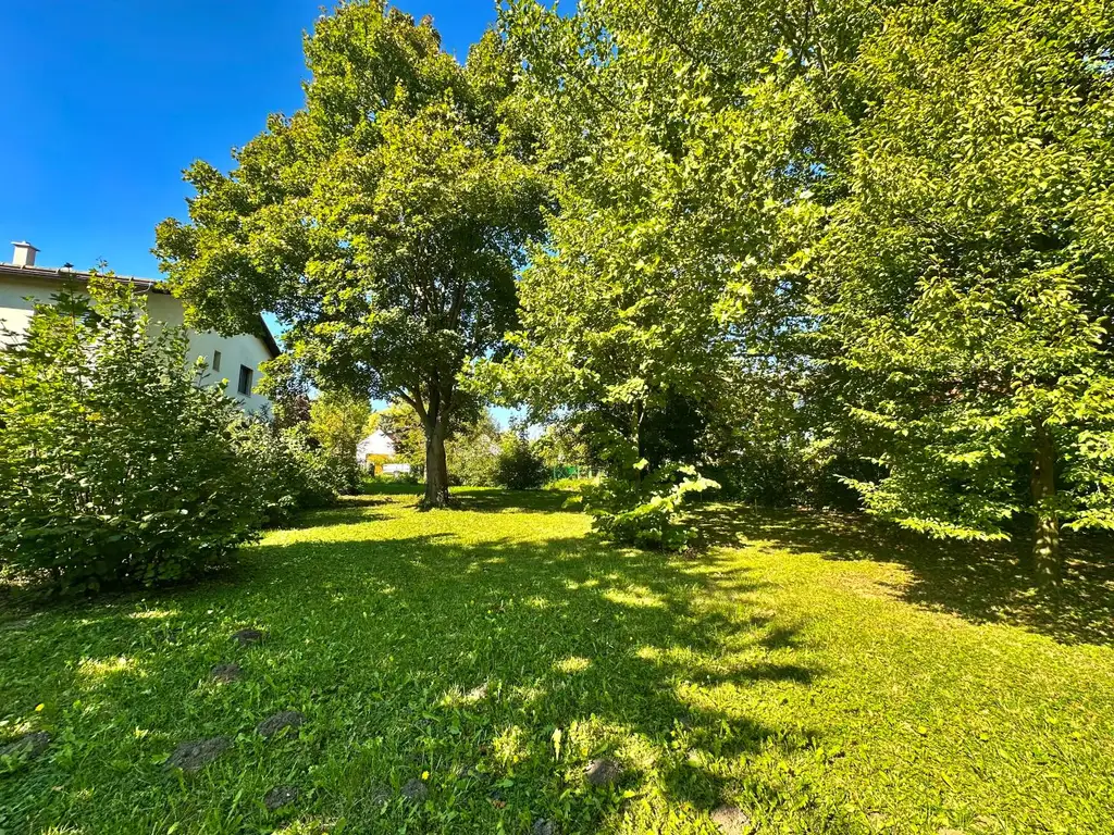 Sonniges Baugrundstück im Ortsgebiet Lanzendorf bei Mistelbach!