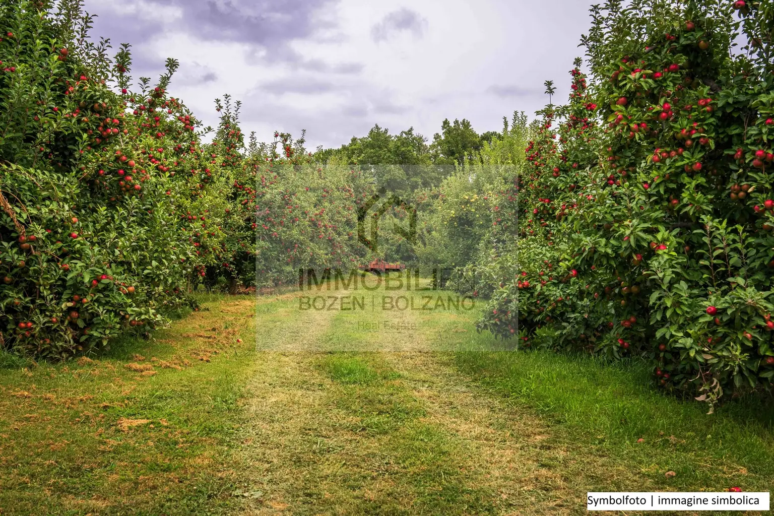 pexels-nc-farm-bureau-mark-28387811