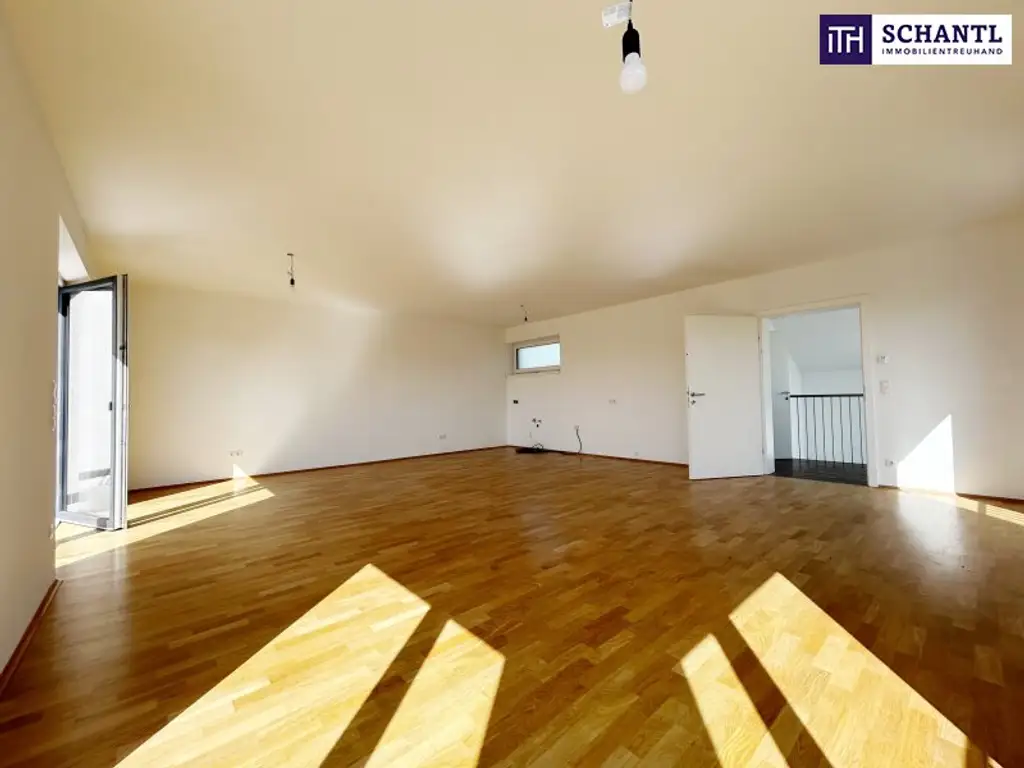 Modernes DOPPELHAUS mitten in den West-Steirischen WEINBERGEN - mit DOPPELGARAGE, GARTEN, TERRASSE & DACHTERRASSE!