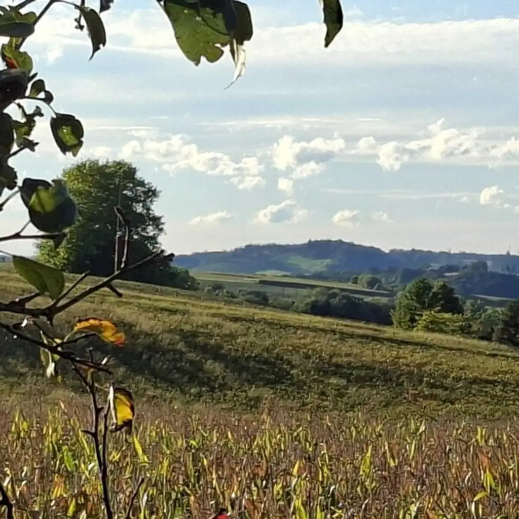 Anlageobjekt  - Eigener Anteil an einem sanierten, historischem Bauernhof -Garantierter MIeter