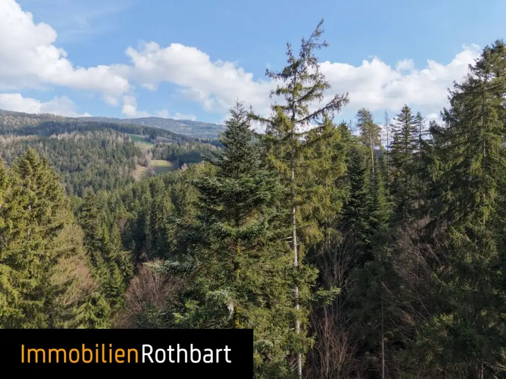 Wald mit Wiese und Zinshaus!