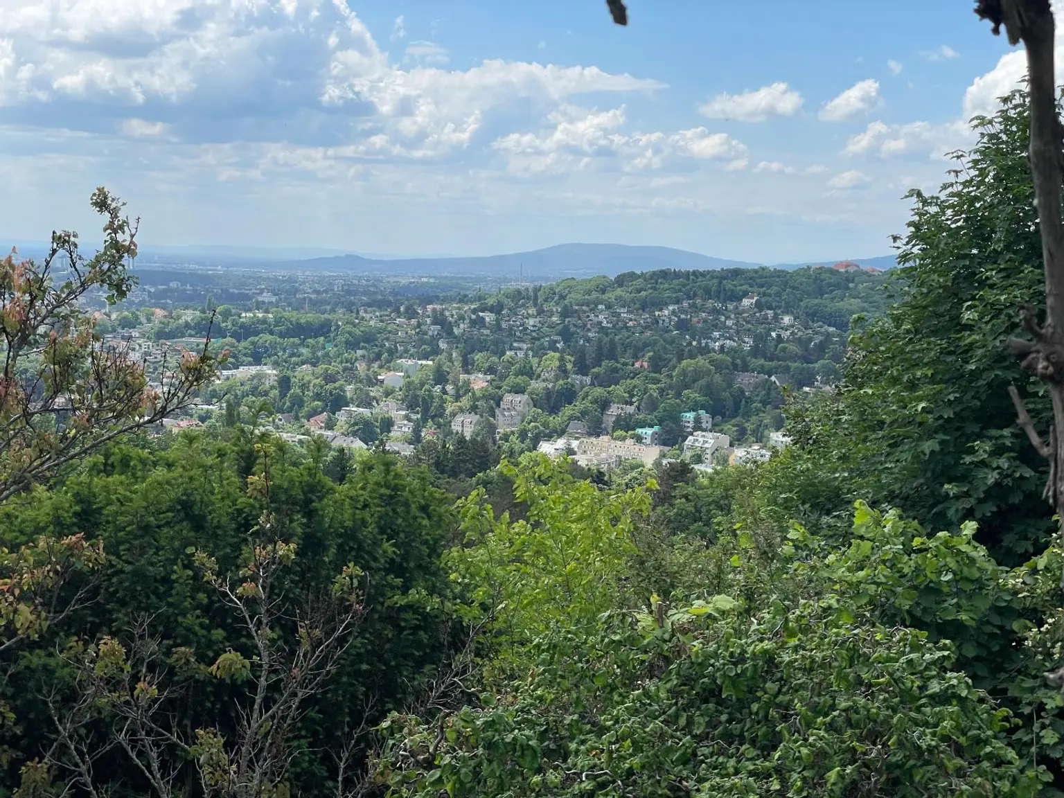 Top Aussichtslage am Schafberg!