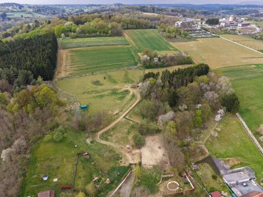Pferde, Golf und Thermenwellness - Im sonnigen Südburgenland