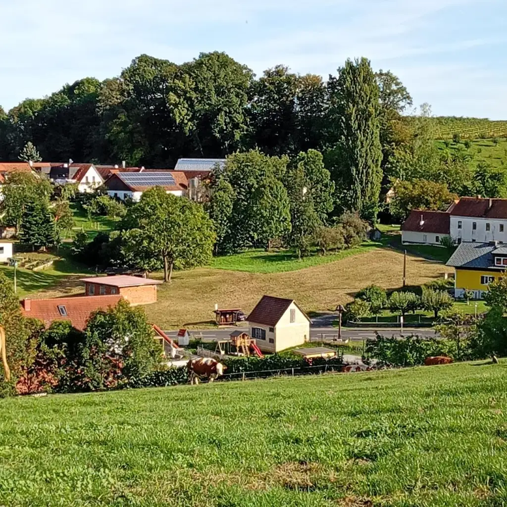 Baugrund in der Weinbauregion St. Anna - kann geteilt werden