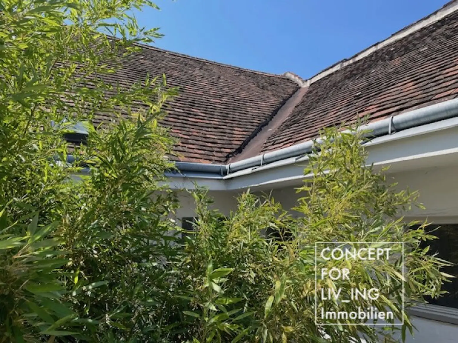 Kleines Zinshaus direkt im Stadtzentrum. Rendite/Anlageobjekt |pure_living
