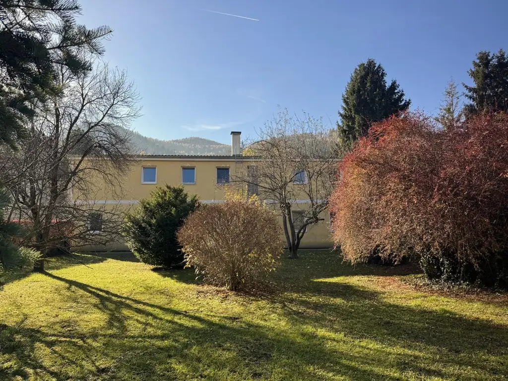 Sanierungsbedürftiges Mehrfamilienhaus mit großem Grundstück und hoher Bebauungsdichte