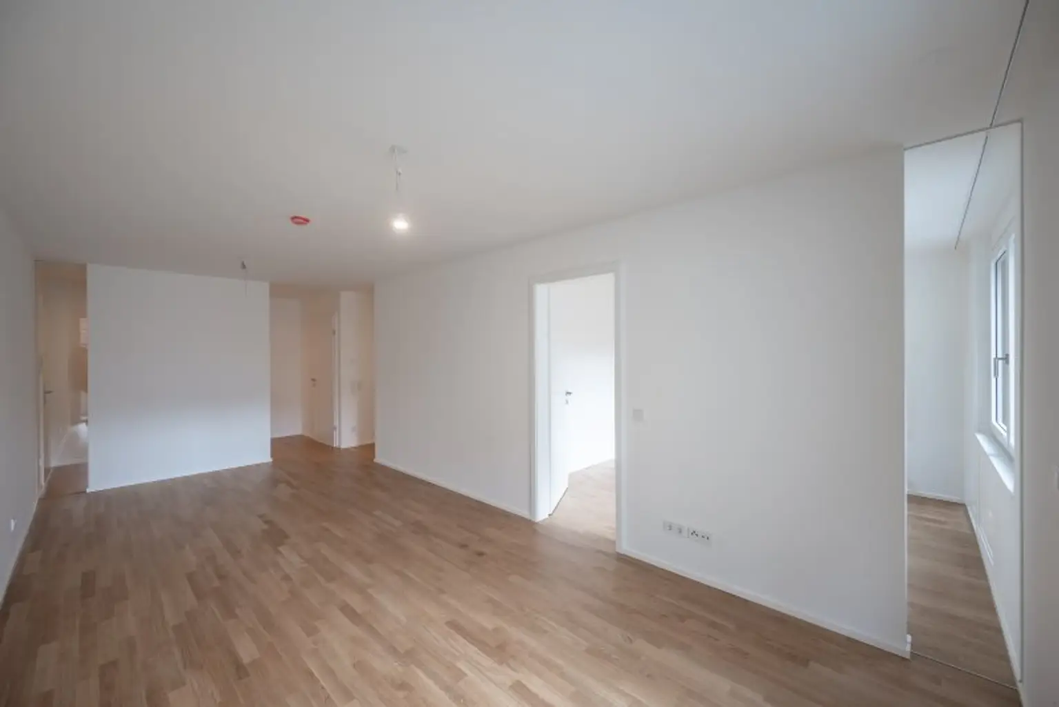 ++MOLLARD 50++ Moderne 2-Zimmer-Wohnung mitten im Herzen der Stadt (1/10)
