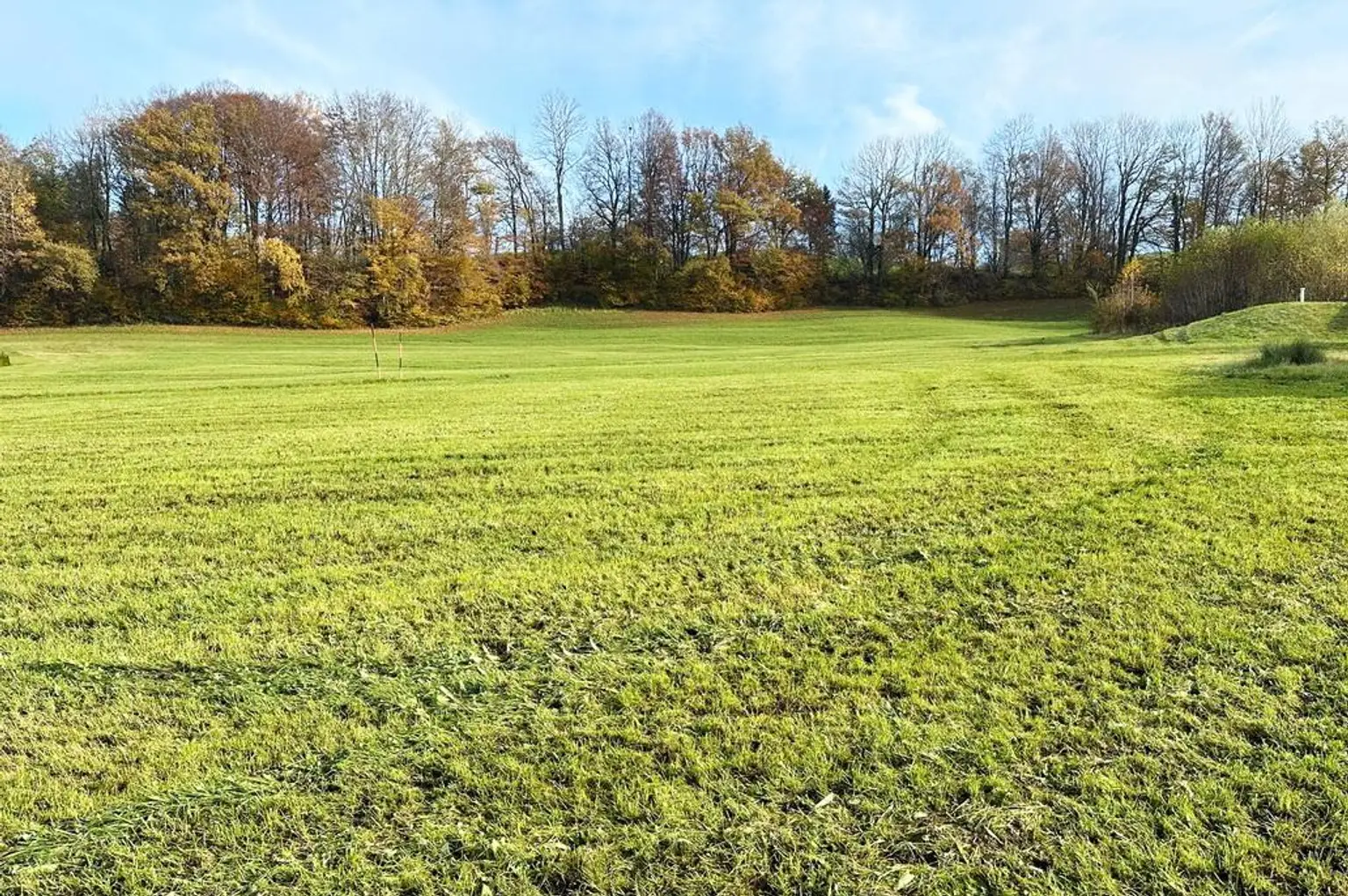 RARITÄT !! Baugrund in herrlicher, erhöhter Ruhelage mit Seeblick !!