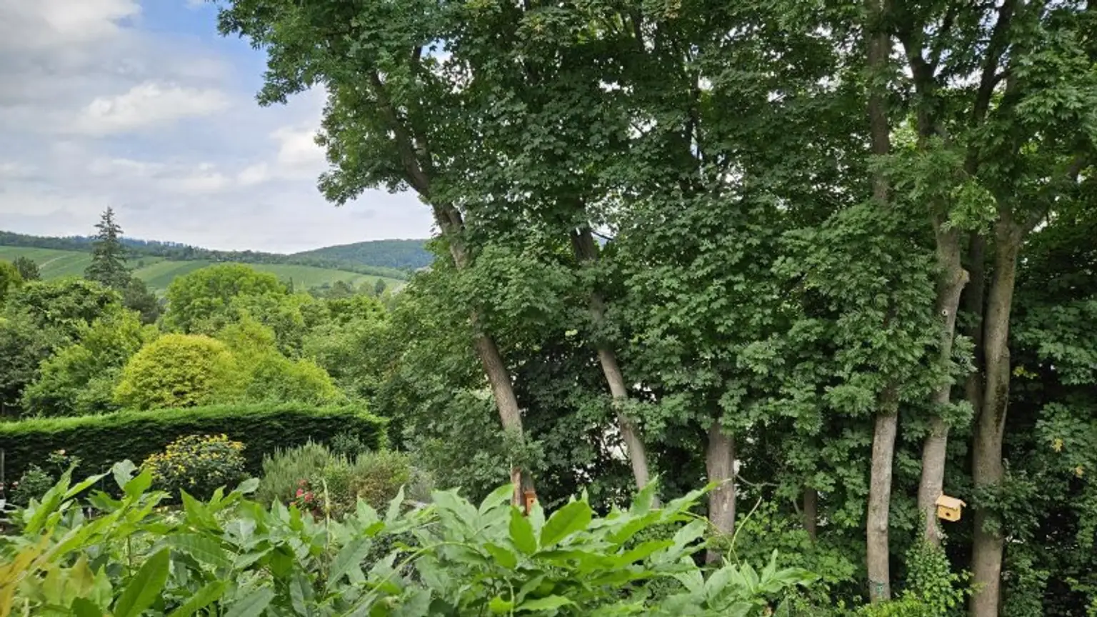 Bestaufgeteilte 99m2 Familienwohnung mit Wintergarten & Balkon ins Grüne! Toplage in Döbling!