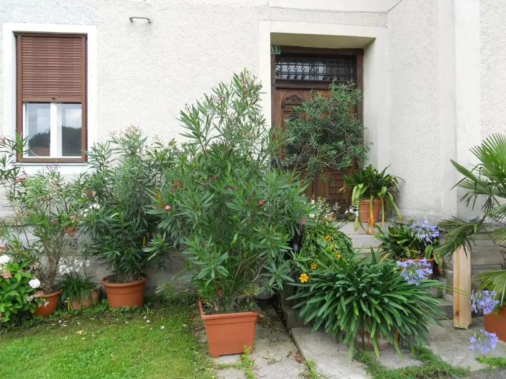 Doppelhaushälfte in herrschaftlichem Haus!