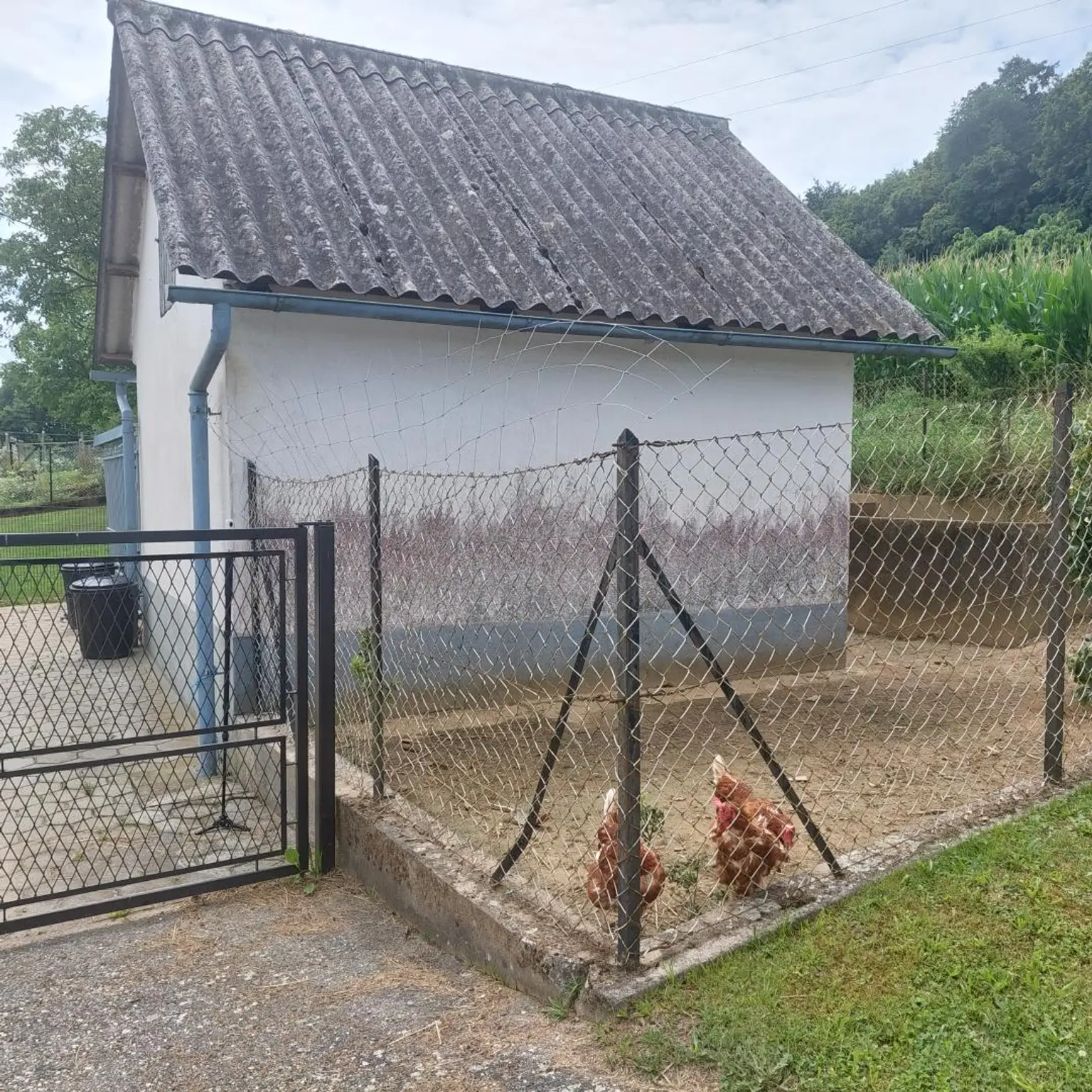 Selbstversorgeranwesen