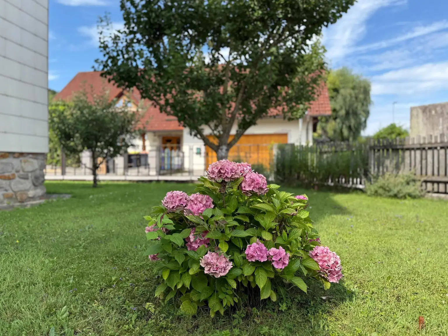 Raumwunder: Mehrfamilienhaus in Krummnußbaum – Platz & Garten für mehrere Familien!