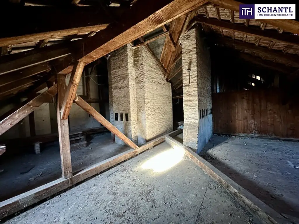 Raum für Visionen: Rohdachboden inklusive Magazin in ruhiger Lage!