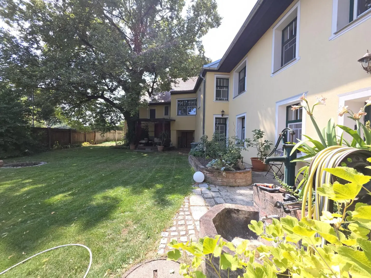 Garten (2)