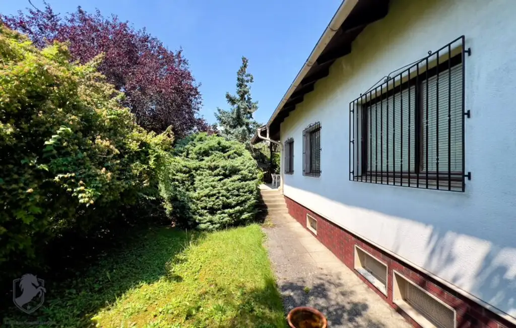 Einfamilienhaus mit großzügigem Grundriss und gepflegtem Zustand