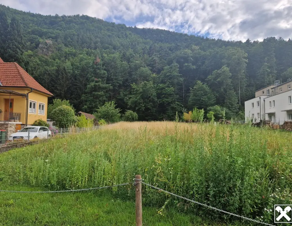 EINE SELTENE GELEGENHEIT: BAUGRUNDSTÜCK MIT EIGENEM WALD MIT HERRLICHEM AUSBLICK DIREKT AM WASSER
