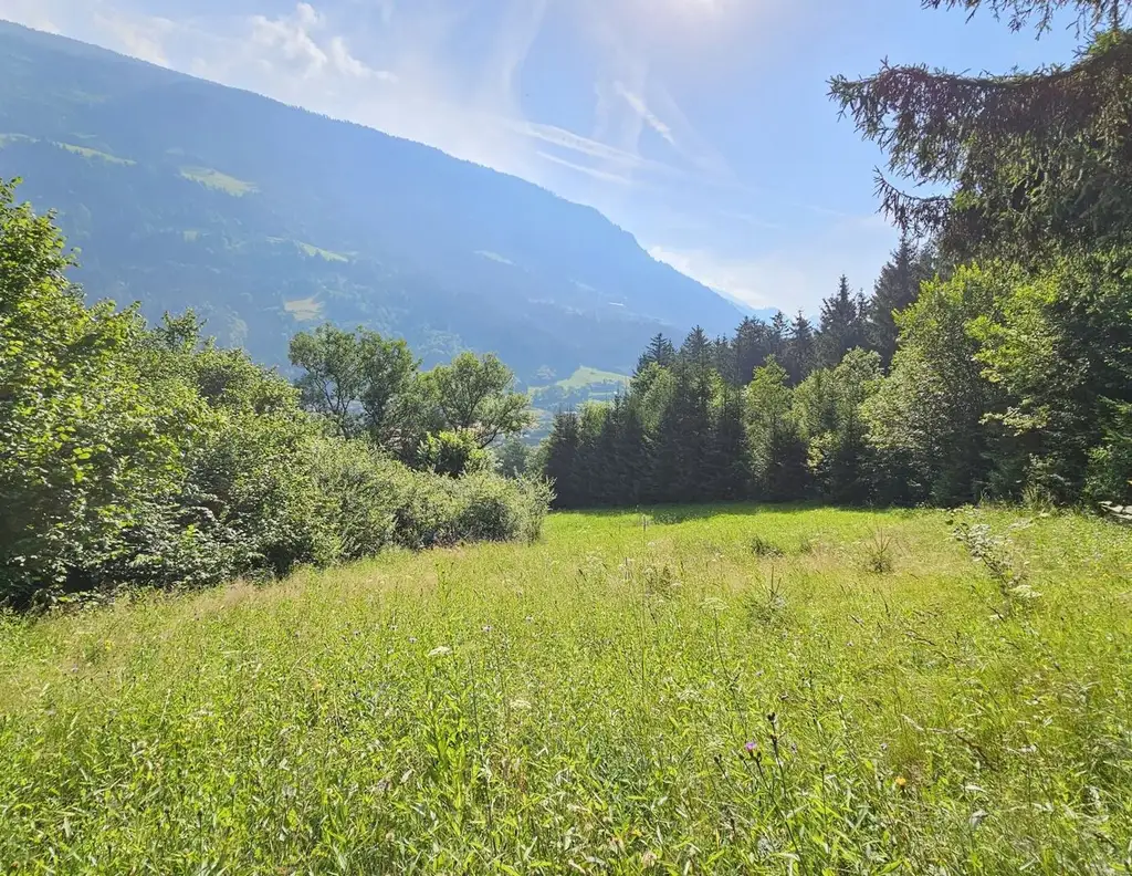 2 Grundstücke in Penk - Wohnen und Landwirtschaft vereinen. Idyllische Lage in Penk.