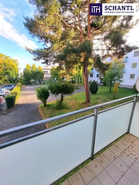Absolute Grün- und Ruhelage! Gebraucht. Gepflegt. Geliebt! Perfekt aufgeteilte 3-Zimmer + separate Küche / 2 Balkone / Viele Möglichkeiten! Ruhig wohnen, gut leben!