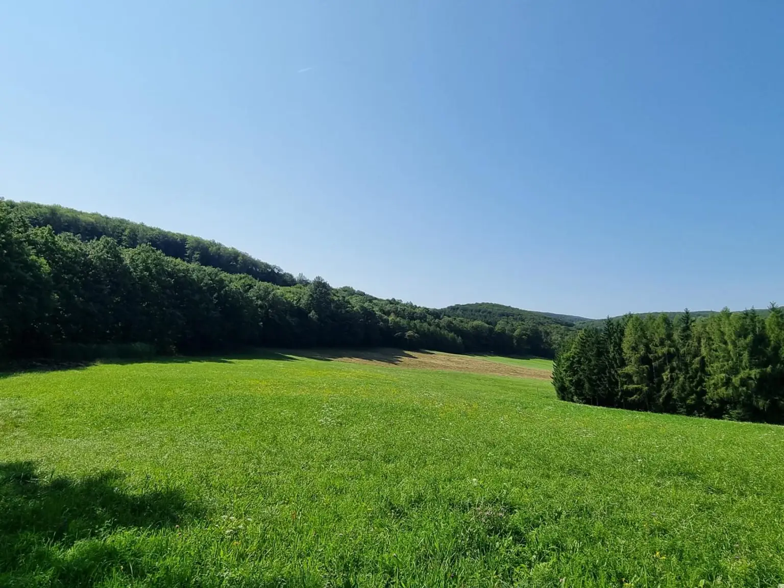 LANDWIRTSCHAFT VOR DEN TOREN WIENS