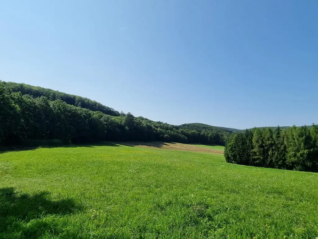 LANDWIRTSCHAFT VOR DEN TOREN WIENS