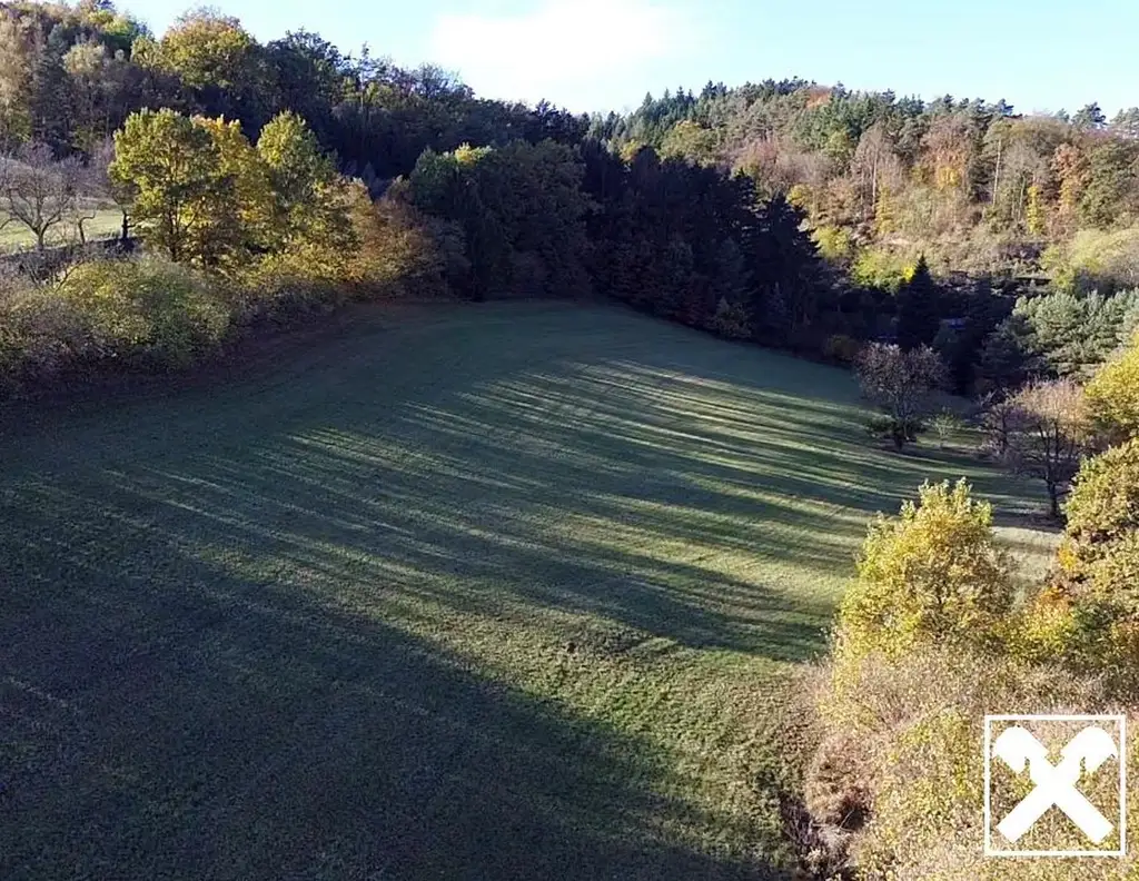 Großes an Bauland grenzendes Grünland-Grundstück bei Emmersdorf!