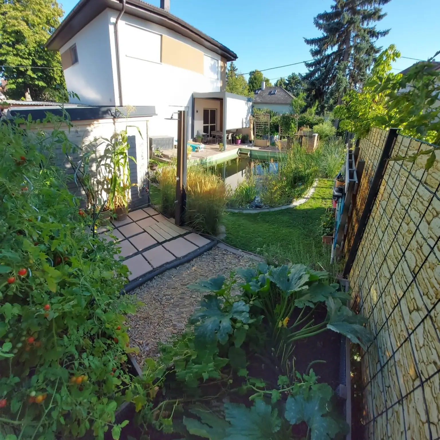 Hausansicht - Garten