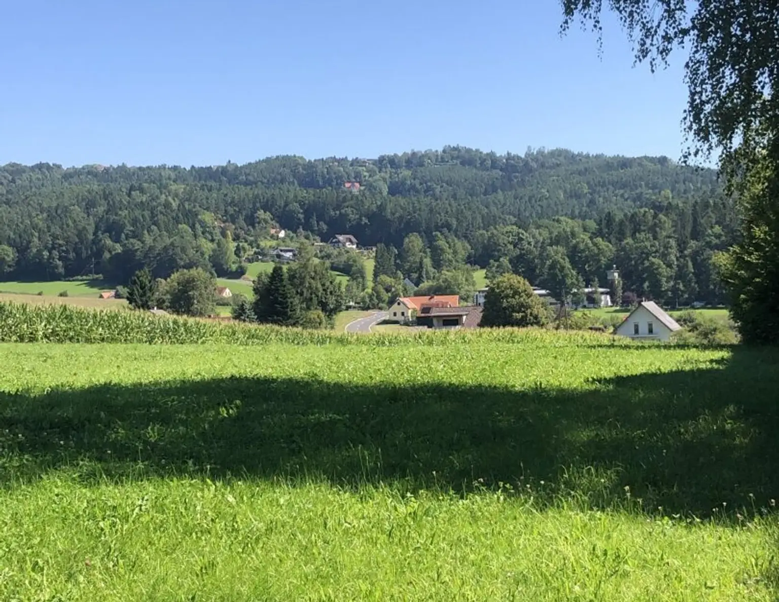 Baugrundstück 800 m² Ganztagssonne TOPLAGE in 8045 Weinitzen mit Schöcklblick