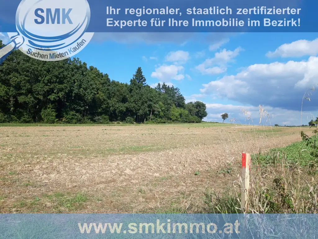 Acker bei Maissau - 3,42 ha landwirtschaftliche Nutzfläche!