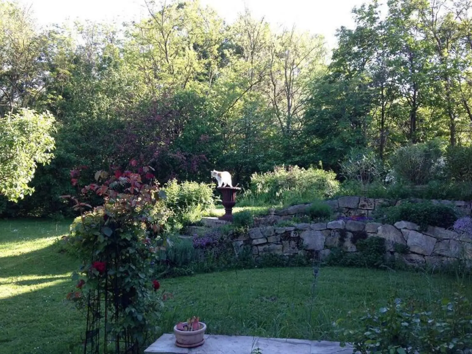 HARMONISCHE PRACHTLIEGENSCHAFT MIT SCHWIMMTEICH