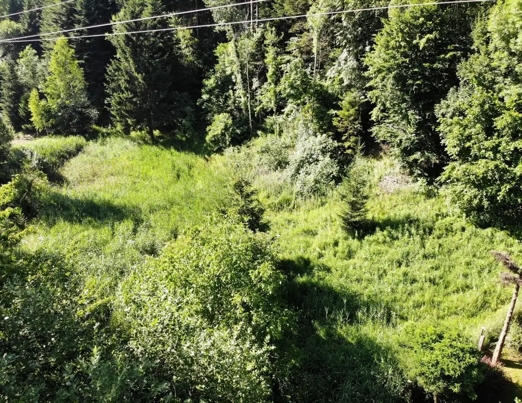 Großzügiges Grundstück - auch als Gartengrund nutzbar - in ruhiger Lage- provisionsfrei für die Käufer!