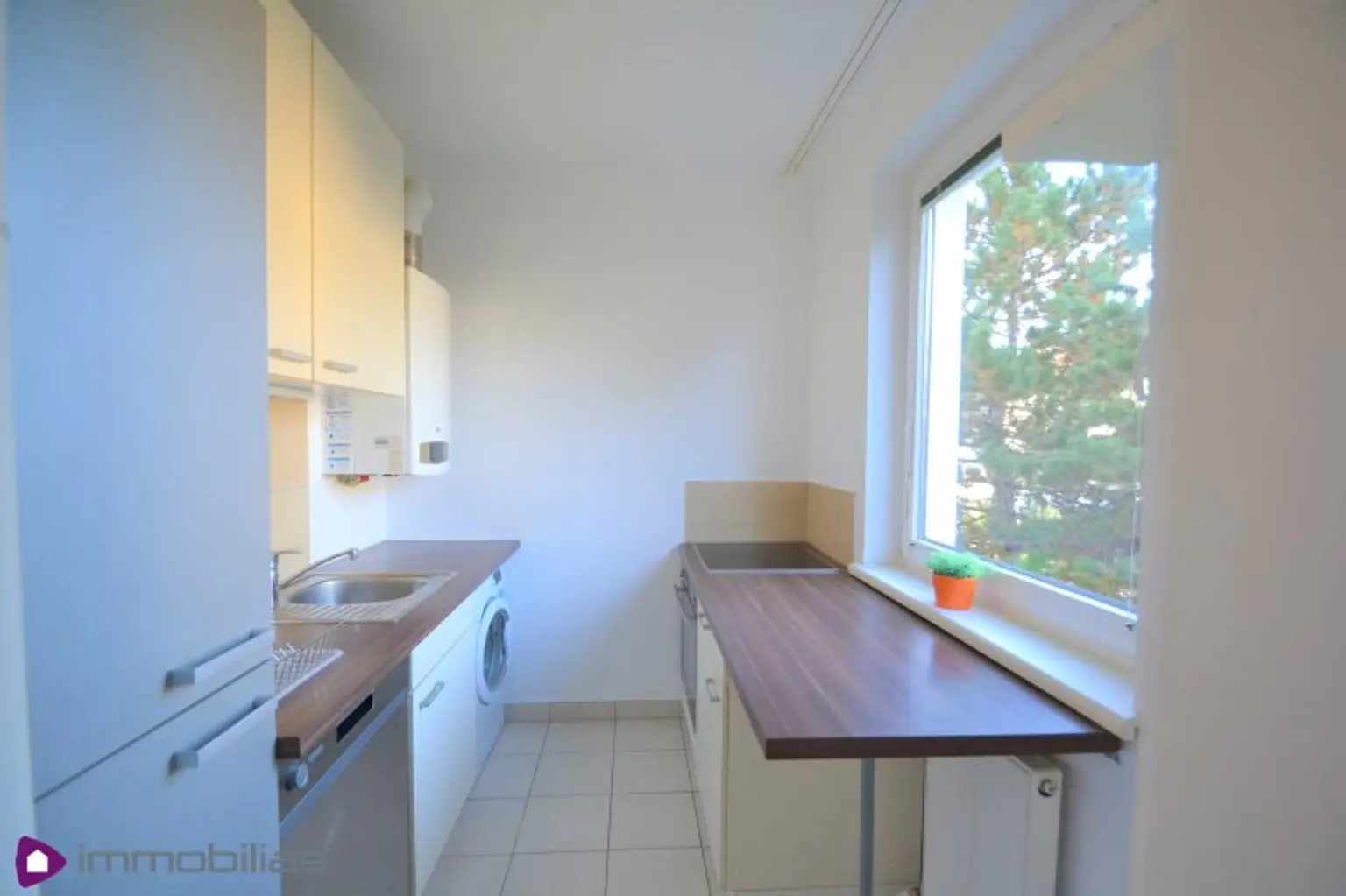 Ein Katzensprung zur U2 und zum Mühlwasser!