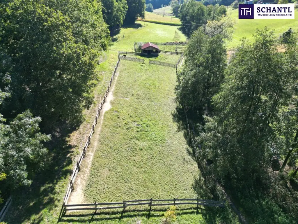SENSATIONELLES JUWEL! Exklusiver Vierkanthof im Thermenland Steiermark – Wohnen, Reiten & Leben mit Pool und Natur!