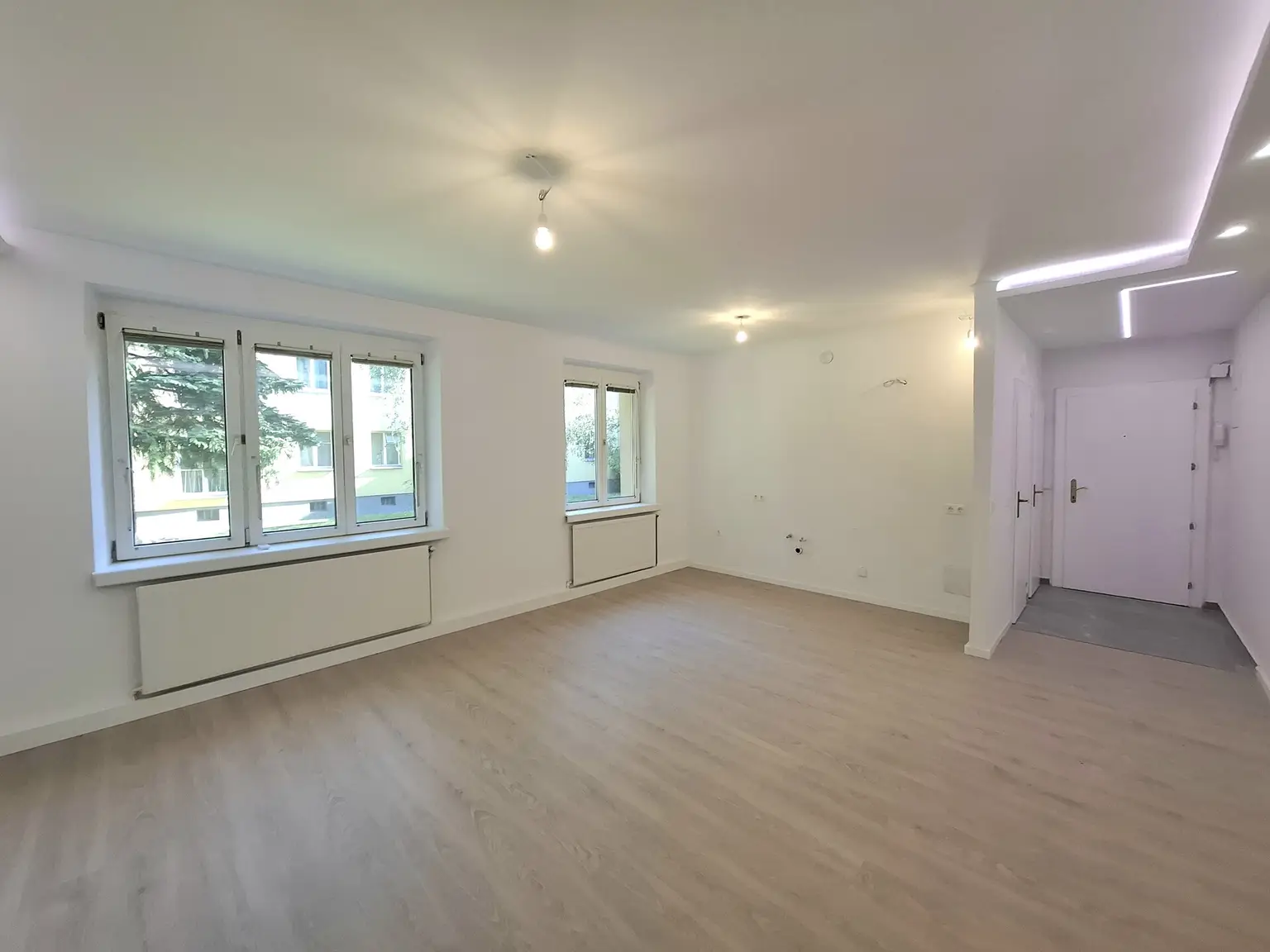Wohnzimmer-Küche
