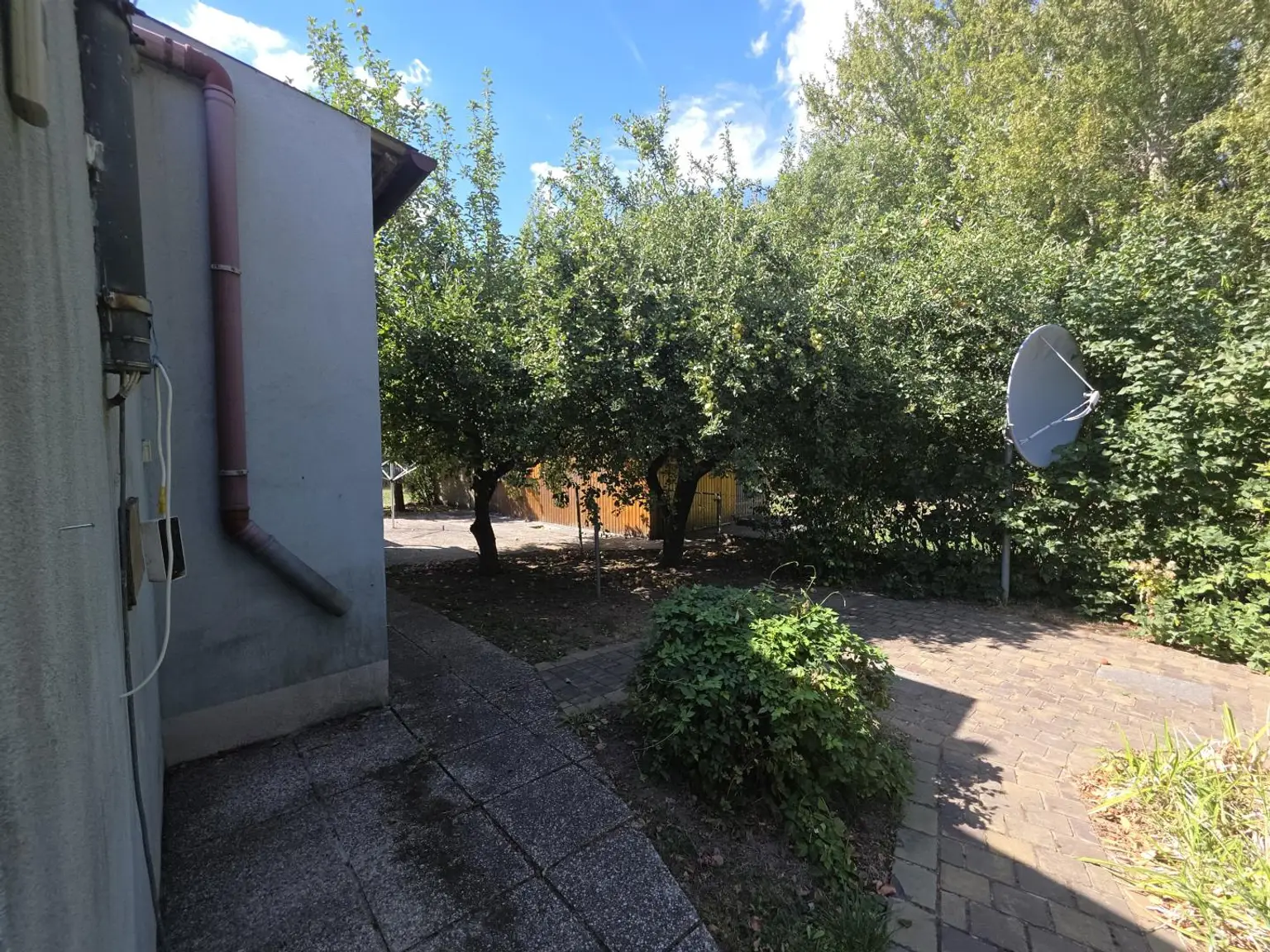 Ansicht Garten