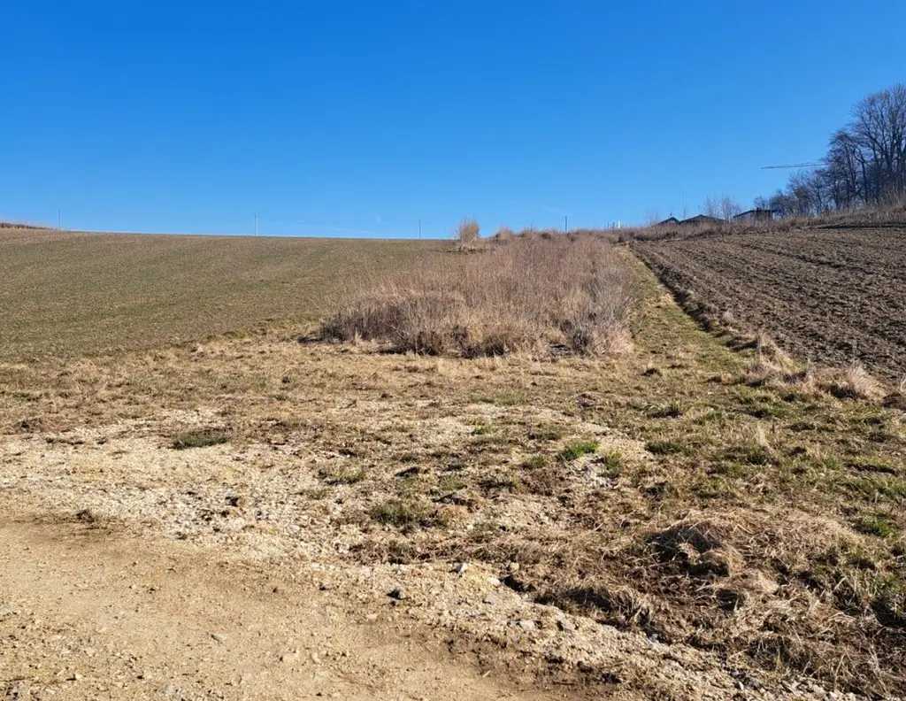 Exklusives Weinbaugrundstück, Südhang in sonniger Lage!