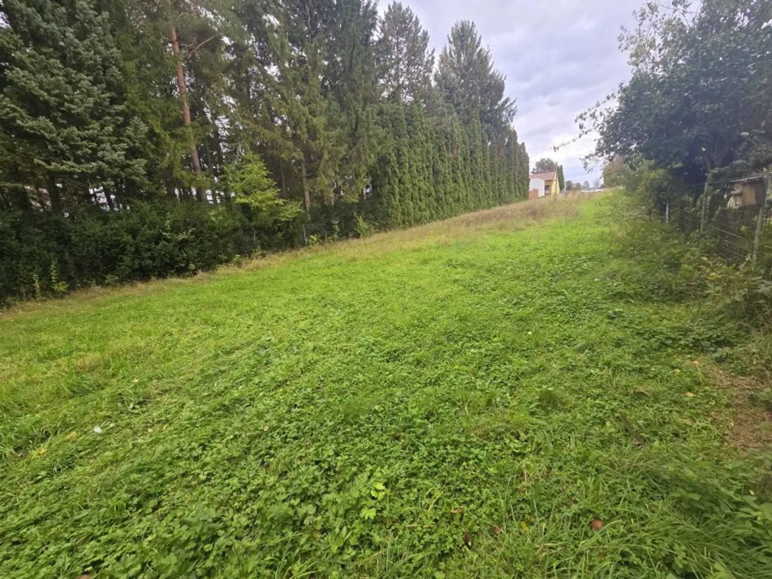 +Traumhaftes Baugrundstück in Gaweinstal – Ihr Eigenheim auf 1520m²+