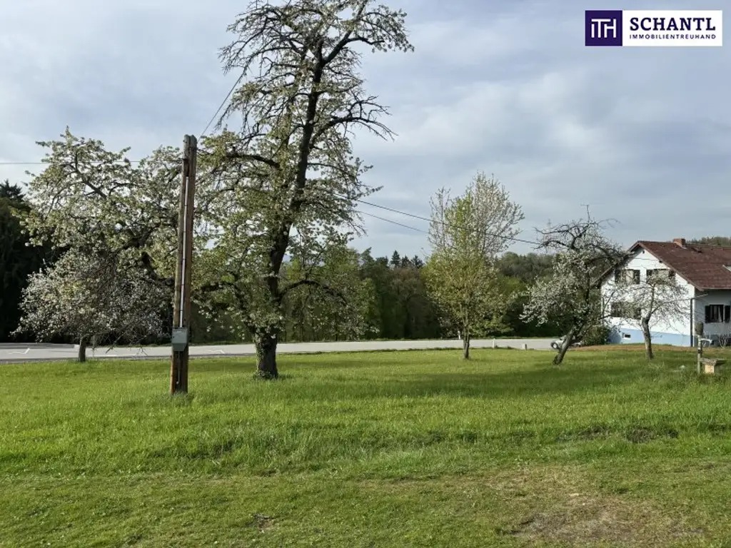Traumgrundstück mit 913m² in Raaba-Grambach – Schöckl-Blick, Fernblick & Ruhelage